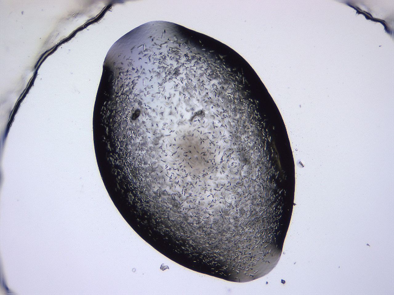 04b8_C9_ImagerDefaults_8.jpg