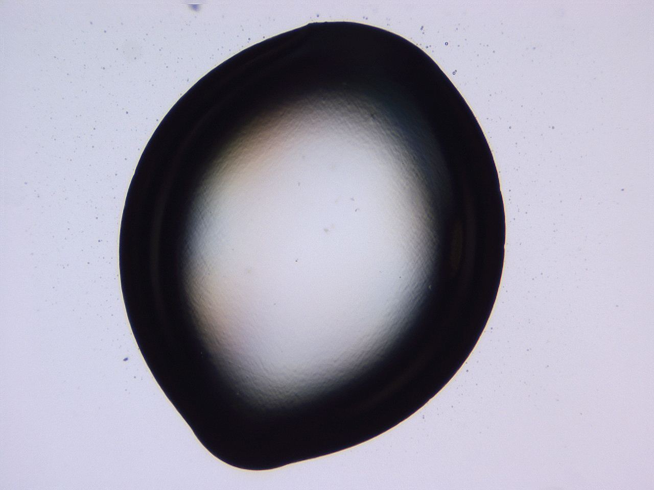 04b8_C11_ImagerDefaults_0.jpg