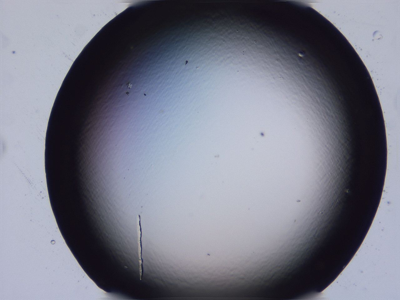 04b8_D1_ImagerDefaults_0.jpg