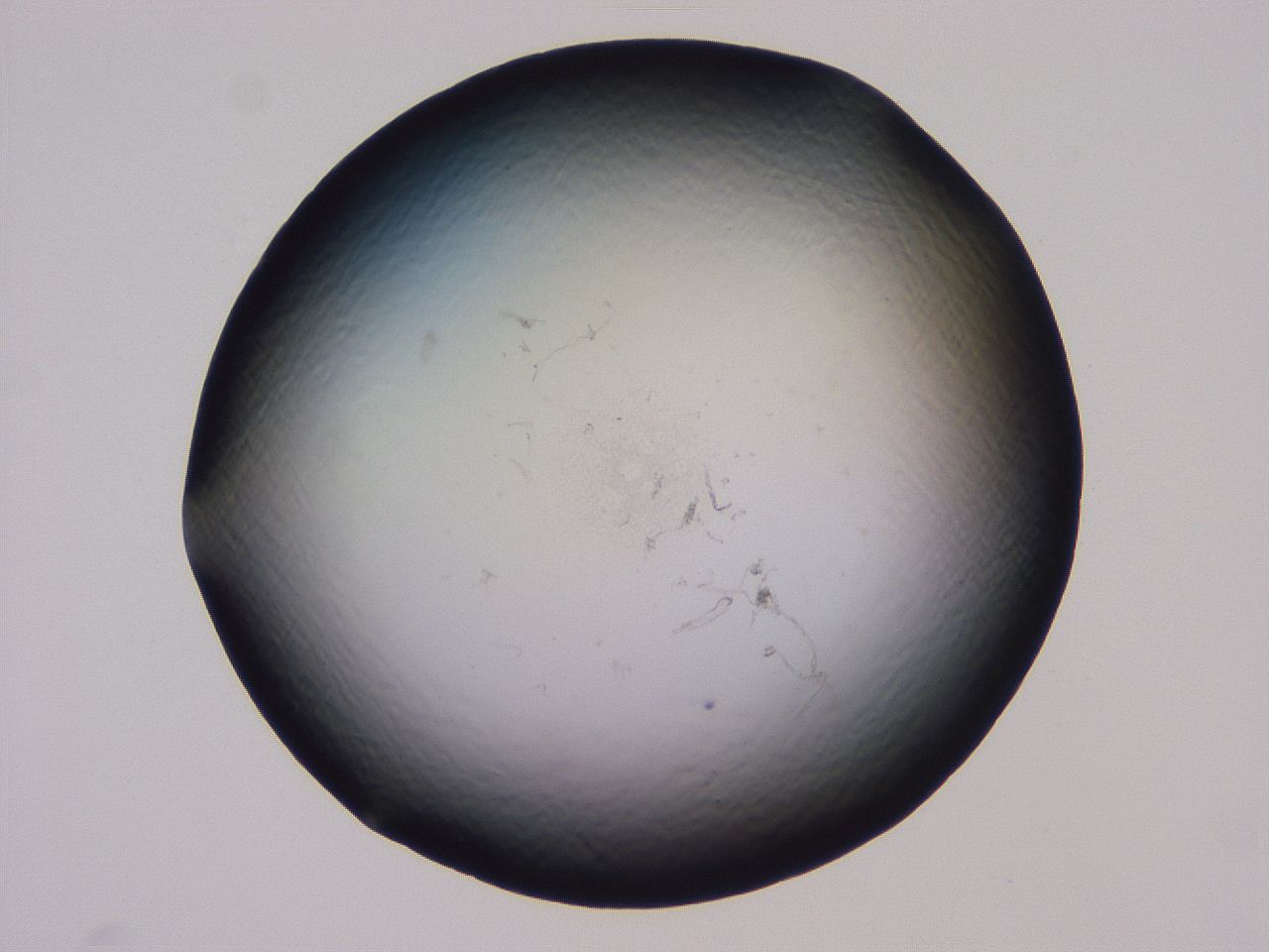 04b8_F7_ImagerDefaults_0.jpg
