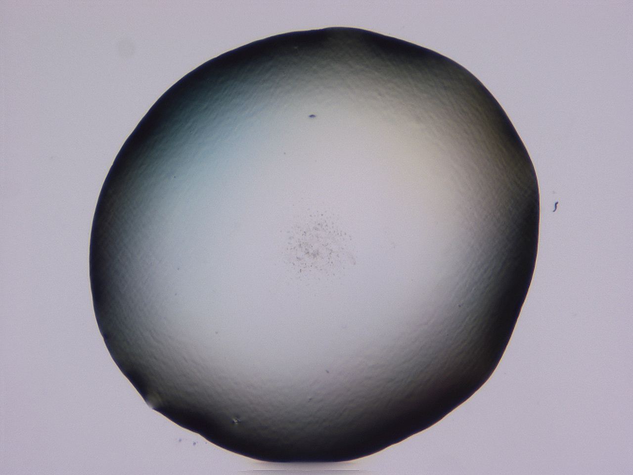 04b8_F8_ImagerDefaults_0.jpg