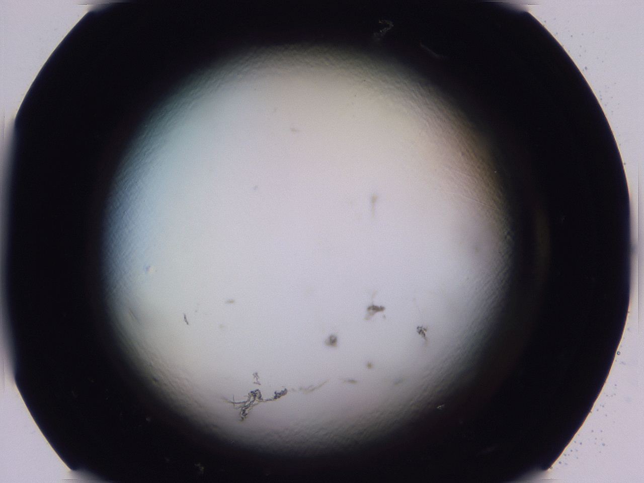 04b8_F9_ImagerDefaults_8.jpg