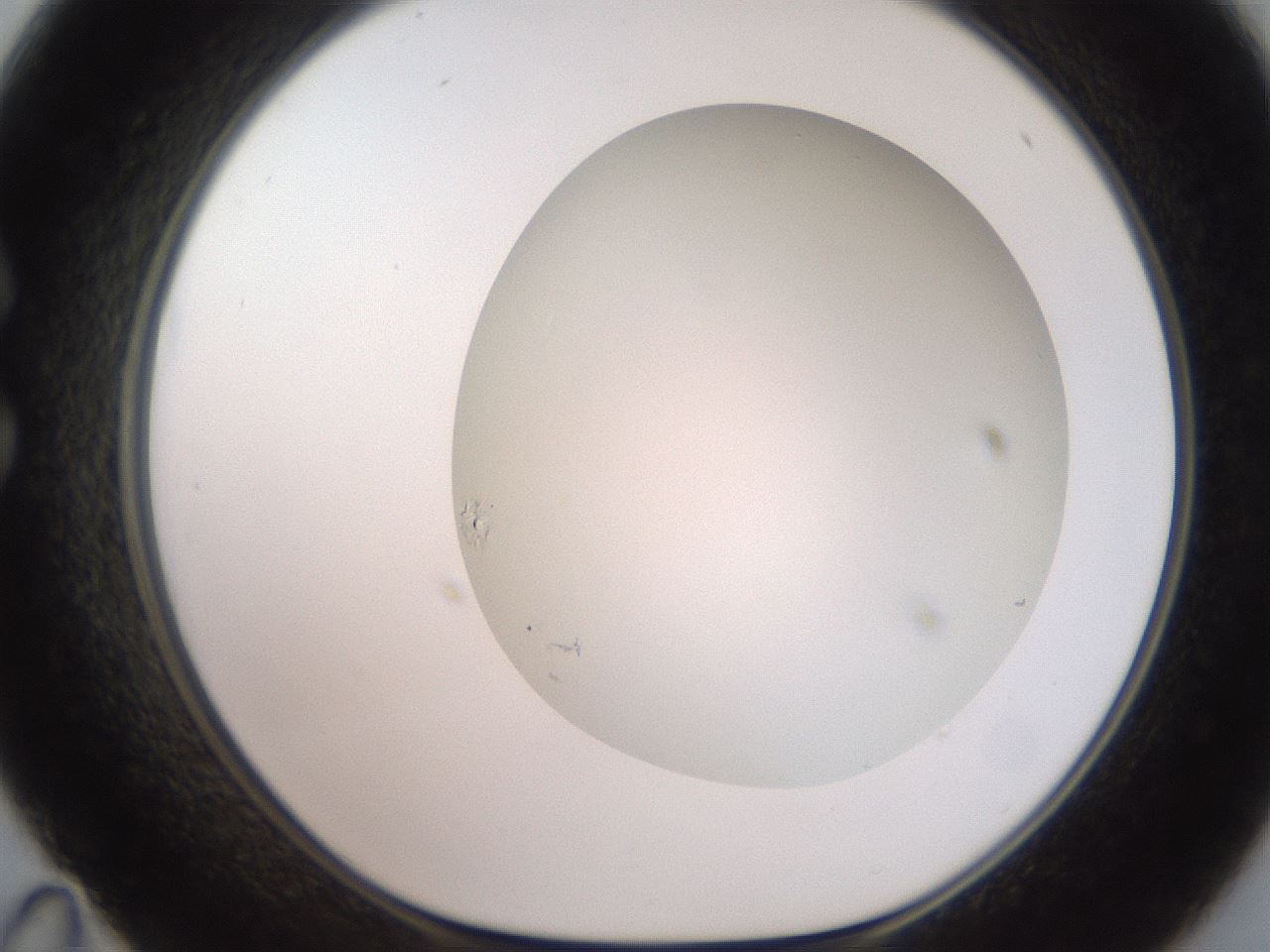 folderID657_plateID3657_batchID22150_wellNum35_profileID1_d1_r327029_ef.jpg