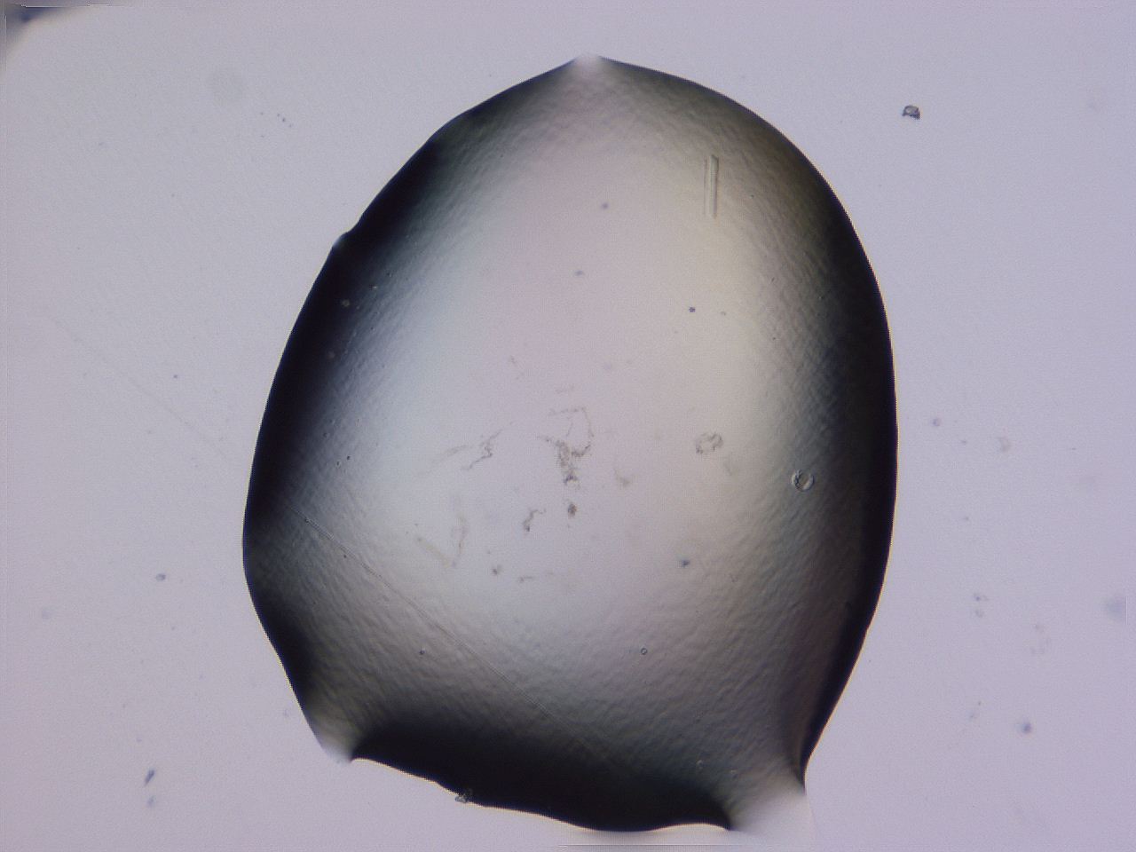 04b8_F12_ImagerDefaults_0.jpg