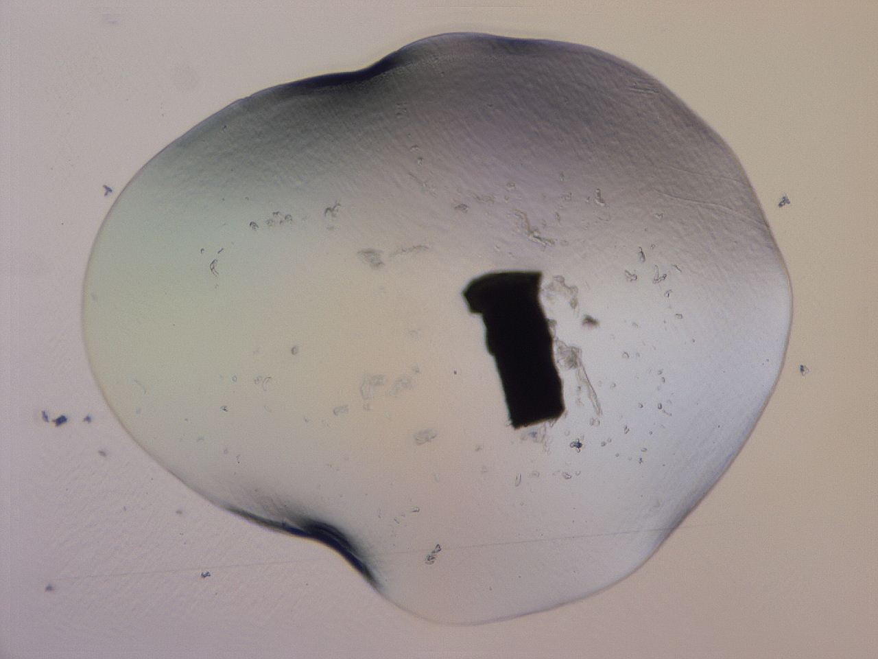 04b8_G2_ImagerDefaults_0.jpg