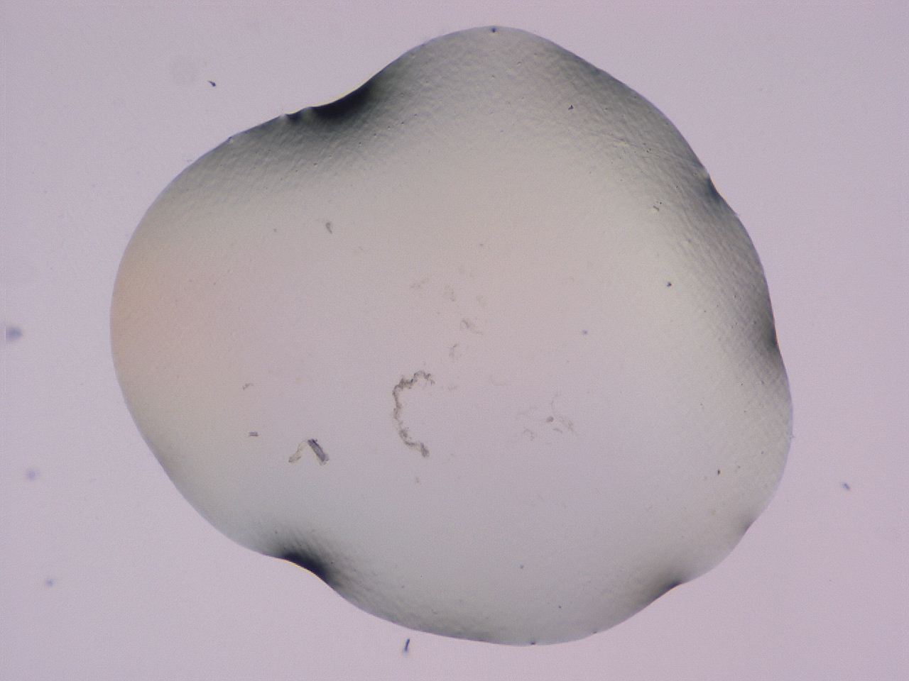 04b8_G4_ImagerDefaults_0.jpg