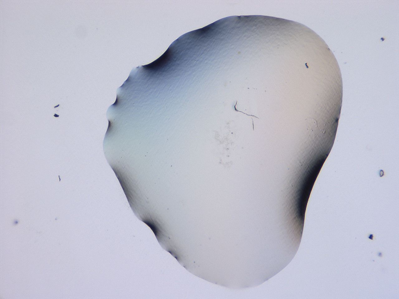 04b8_G5_ImagerDefaults_0.jpg
