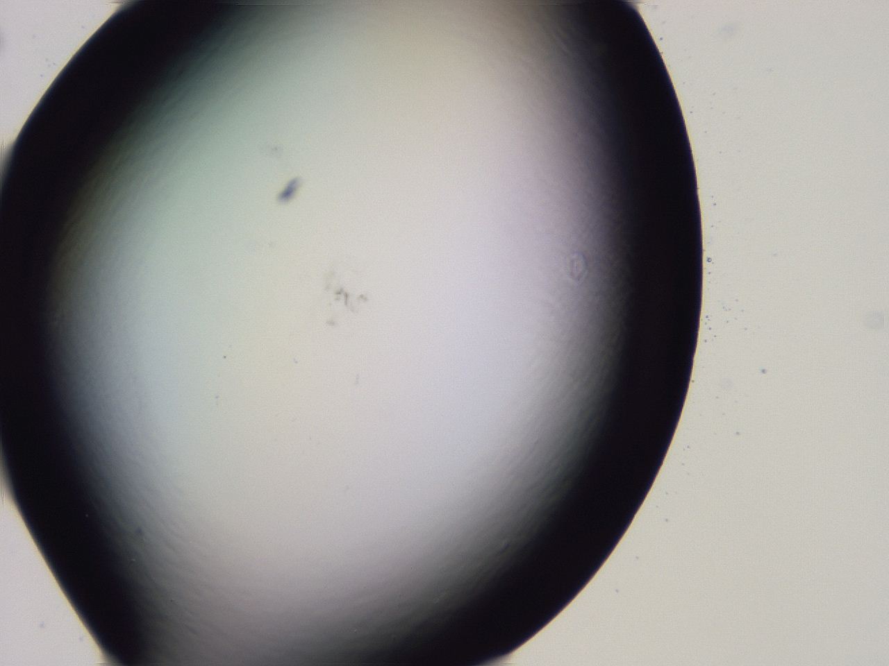 04b8_G10_ImagerDefaults_0.jpg