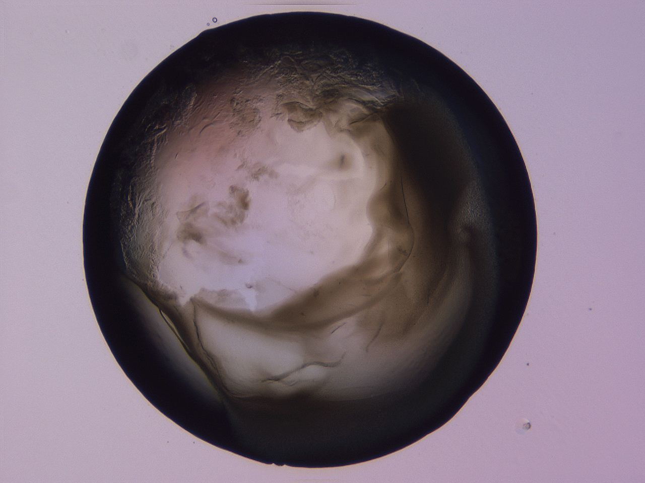 04b8_D6_ImagerDefaults_3.jpg