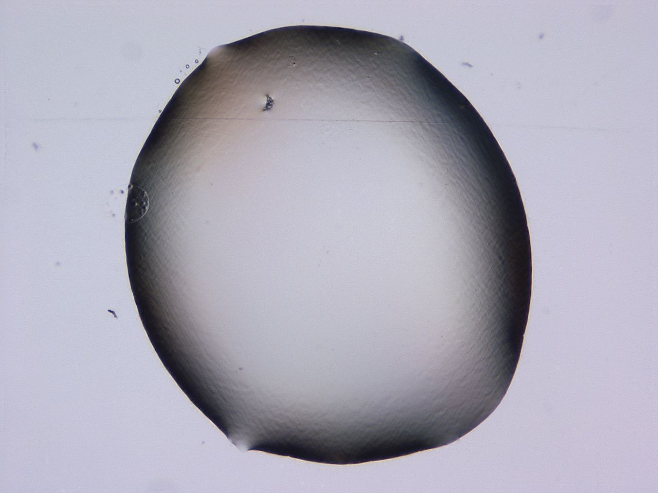 04b8_D7_ImagerDefaults_0.jpg