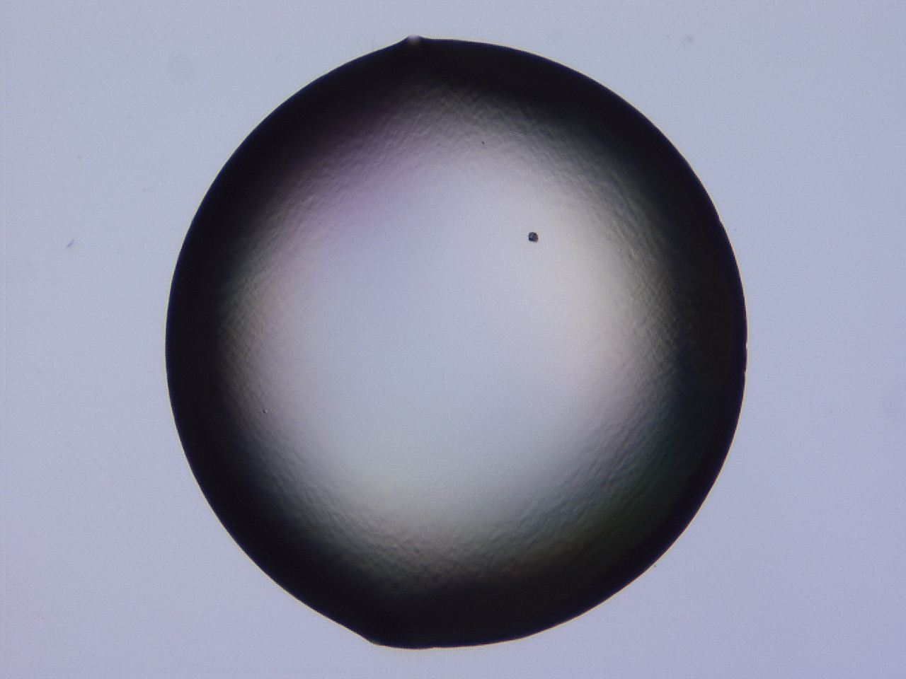 04b8_D10_ImagerDefaults_0.jpg