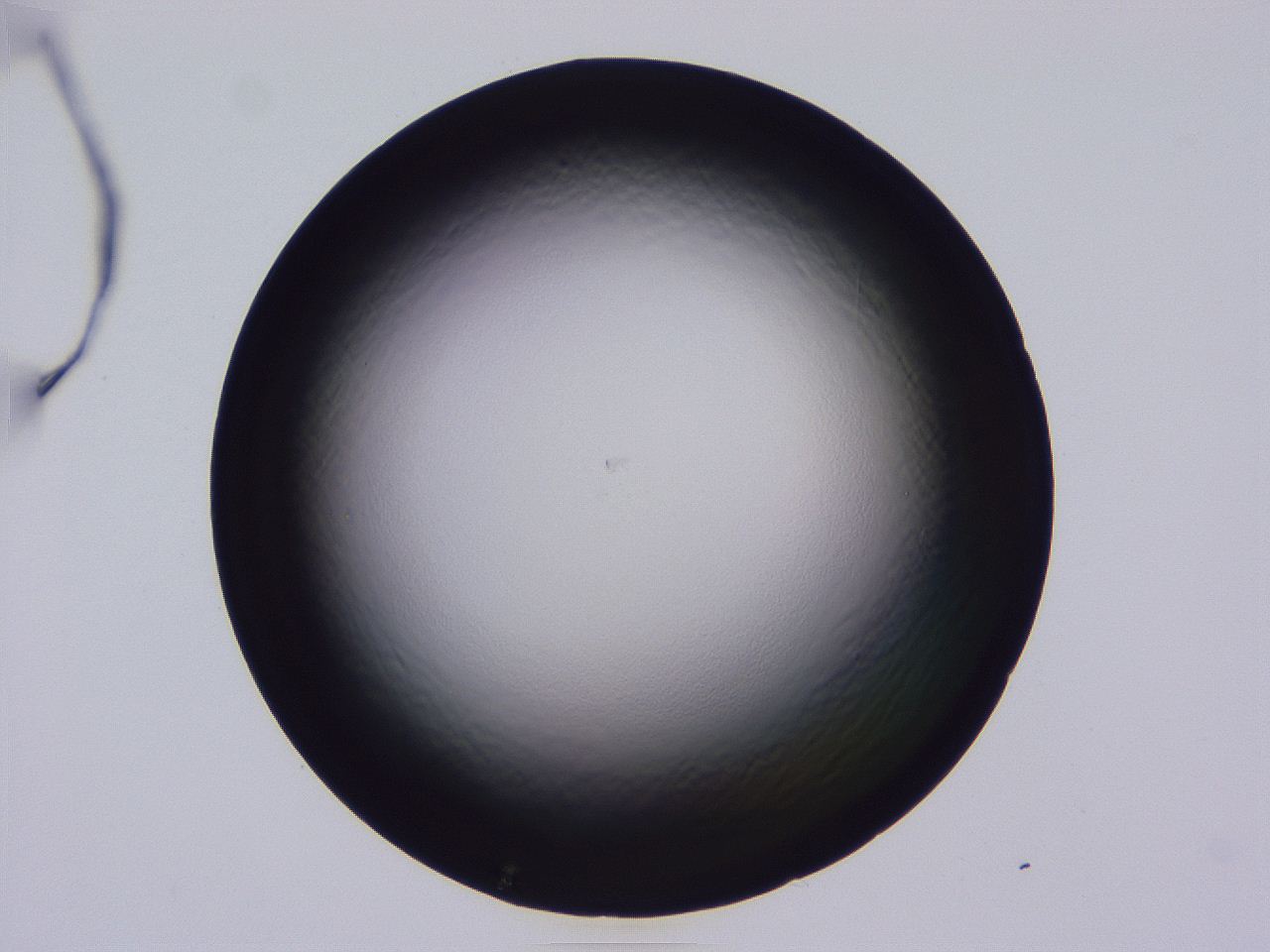 04b8_D11_ImagerDefaults_0.jpg