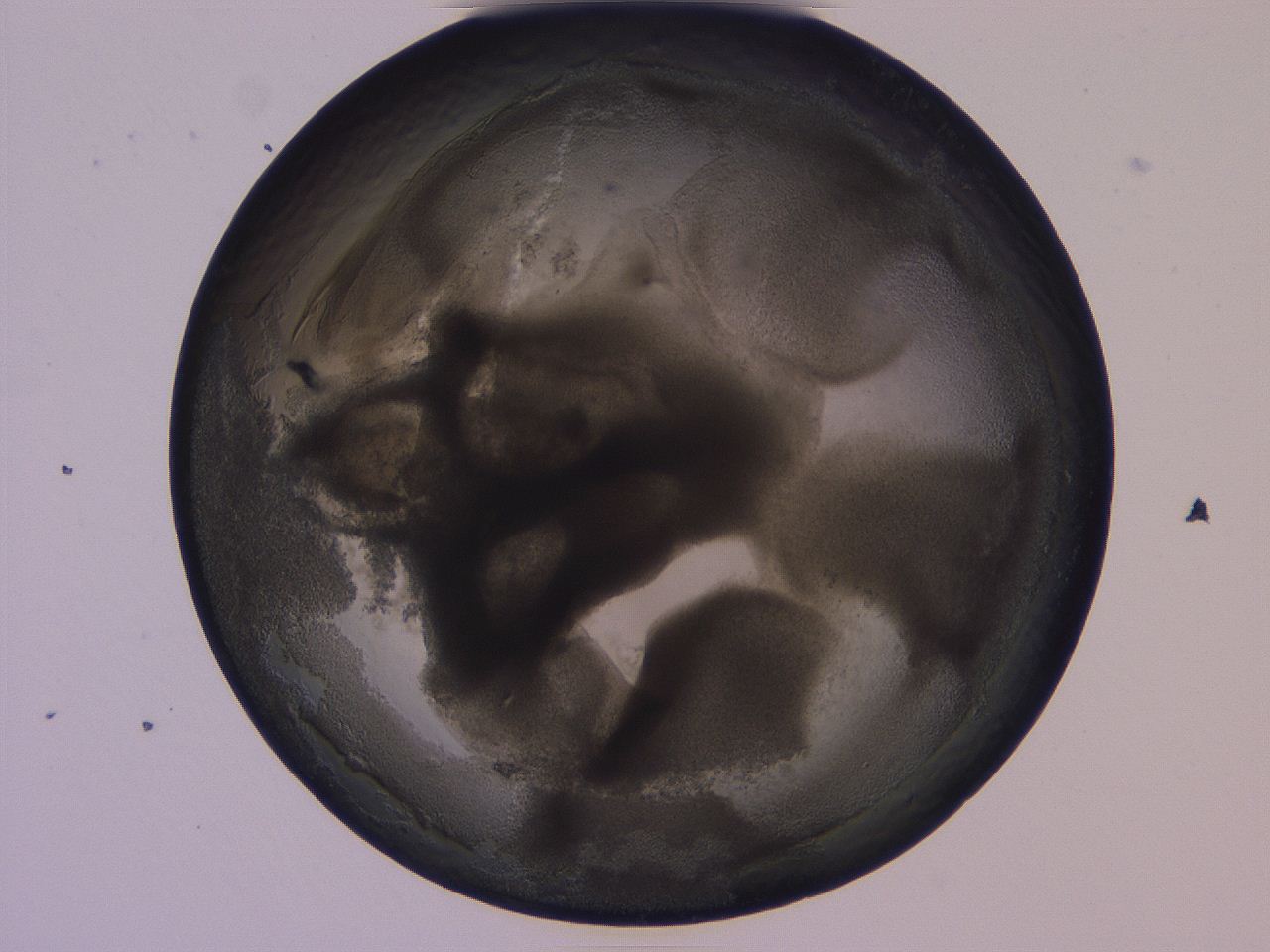 04b8_H2_ImagerDefaults_3.jpg