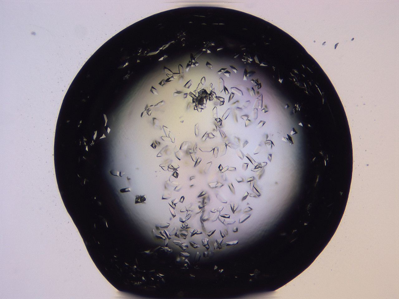 04b8_H10_ImagerDefaults_8.jpg