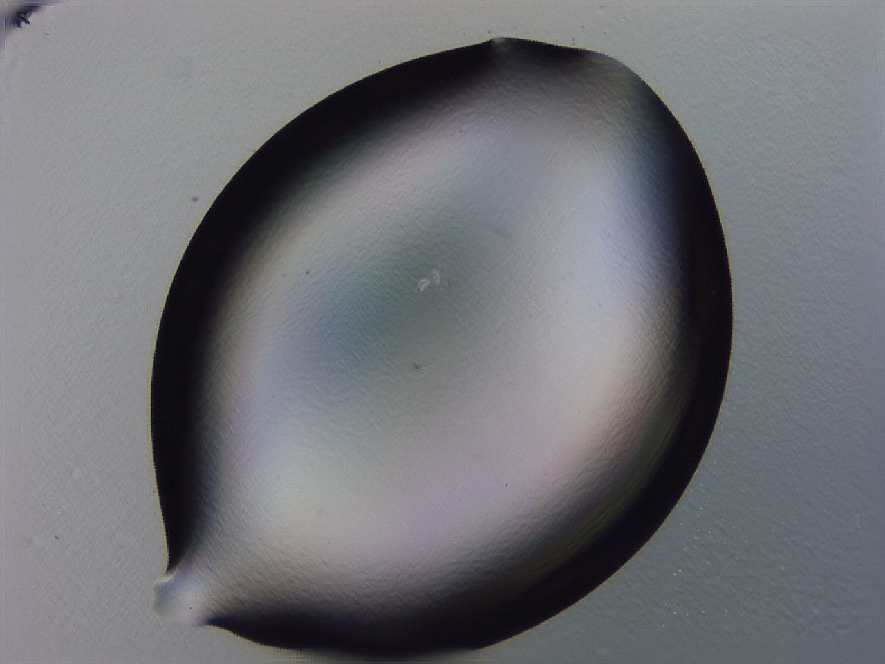 04b8_H11_ImagerDefaults_0.jpg