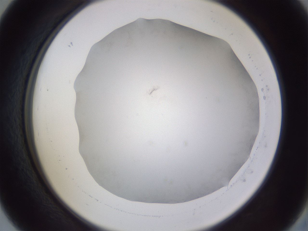 folderID664_plateID3664_batchID22143_wellNum39_profileID1_d2_r327230_ef.jpg