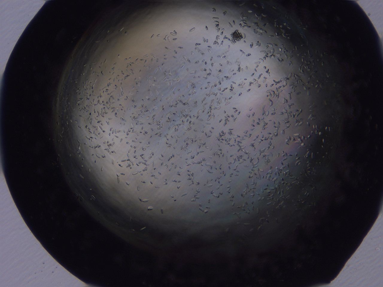 04b8_H12_ImagerDefaults_8.jpg