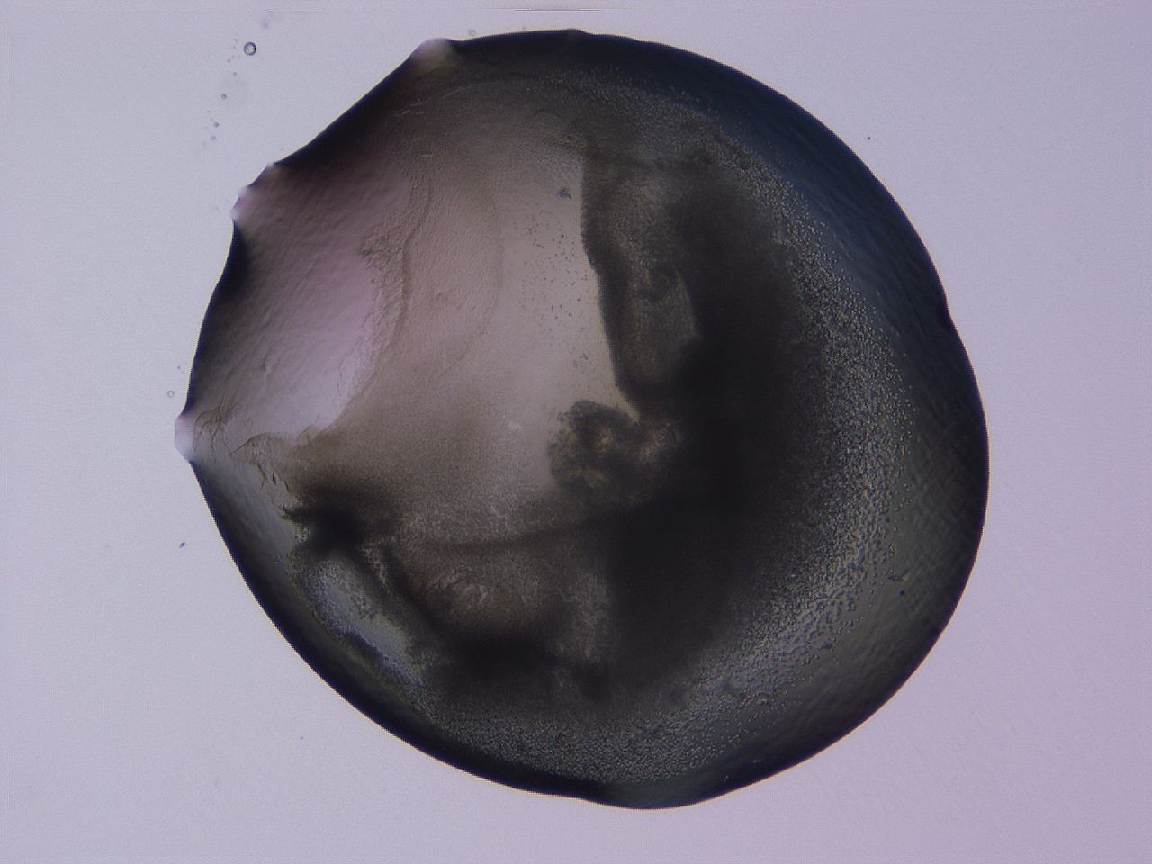 04b9_D6_ImagerDefaults_3.jpg