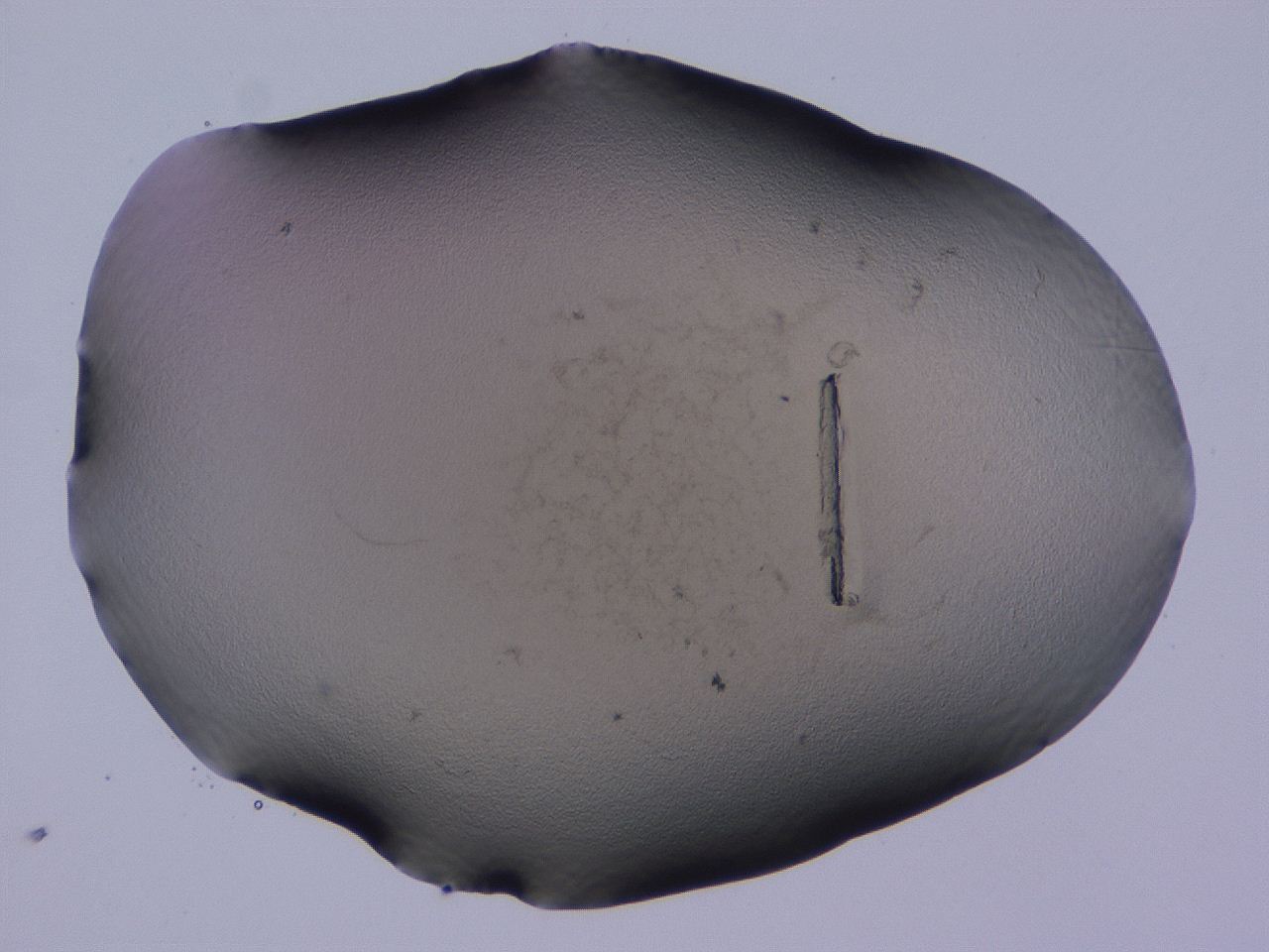 04b9_C5_ImagerDefaults_3.jpg