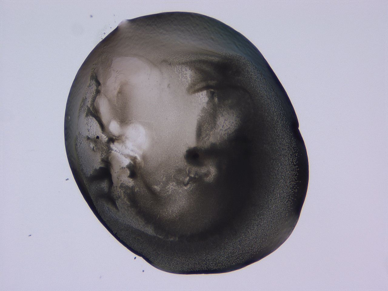 04b9_D7_ImagerDefaults_3.jpg