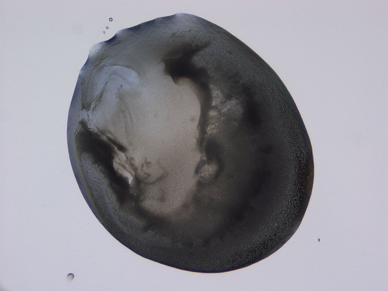 04b9_D9_ImagerDefaults_3.jpg