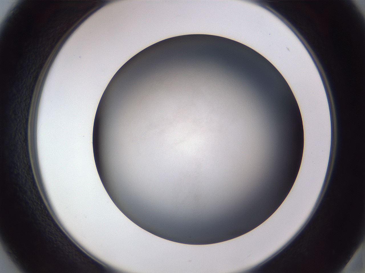 folderID668_plateID3668_batchID22435_wellNum37_profileID1_d2_r329338_ef.jpg