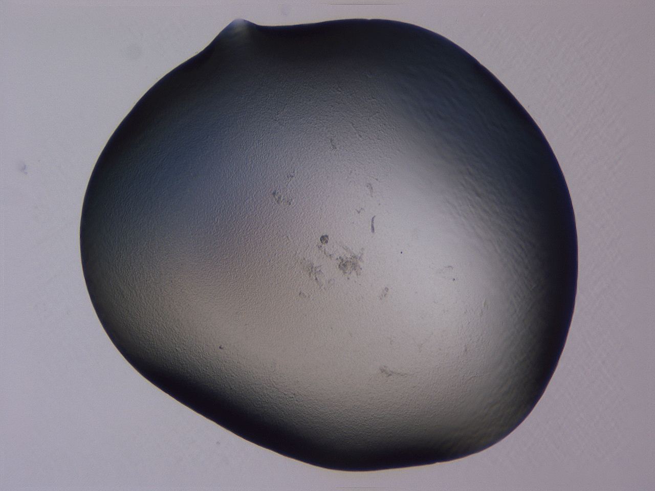 04b9_A1_ImagerDefaults_0.jpg