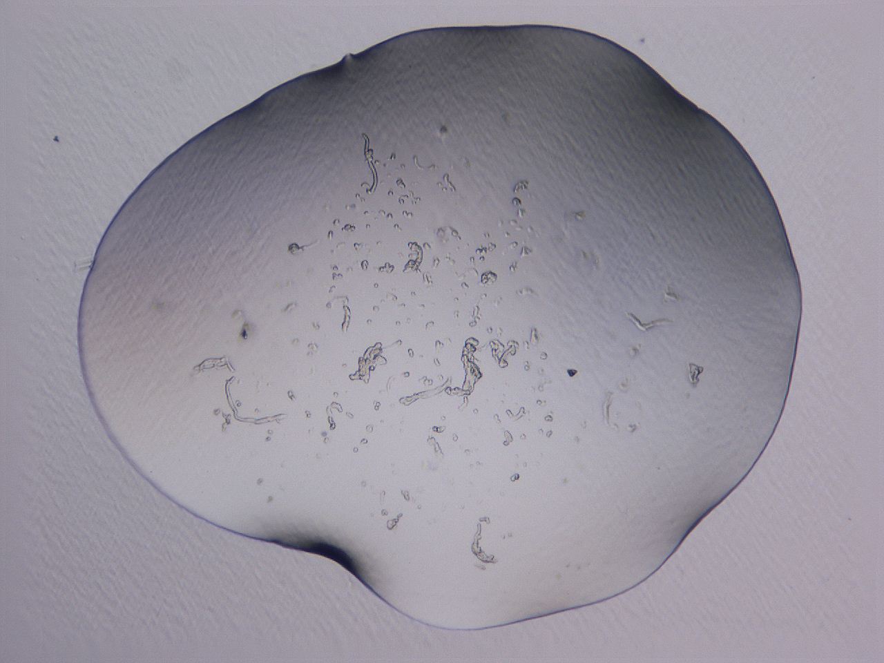 04b9_A3_ImagerDefaults_0.jpg