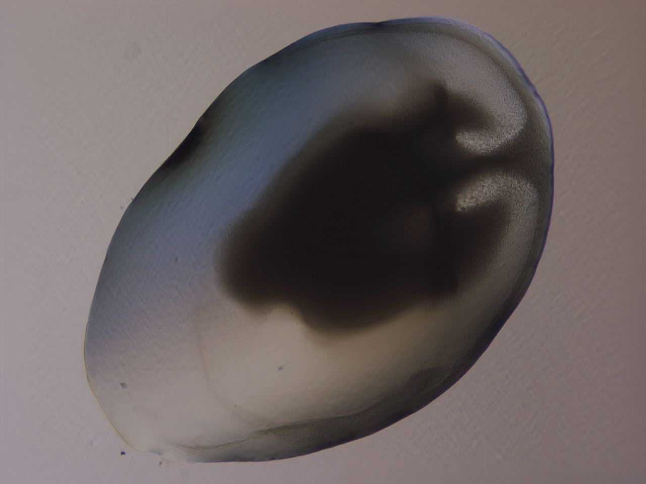 04b9_A5_ImagerDefaults_3.jpg