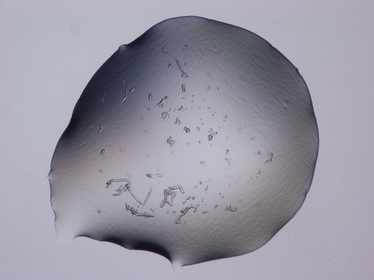 04b9_A8_ImagerDefaults_0.jpg