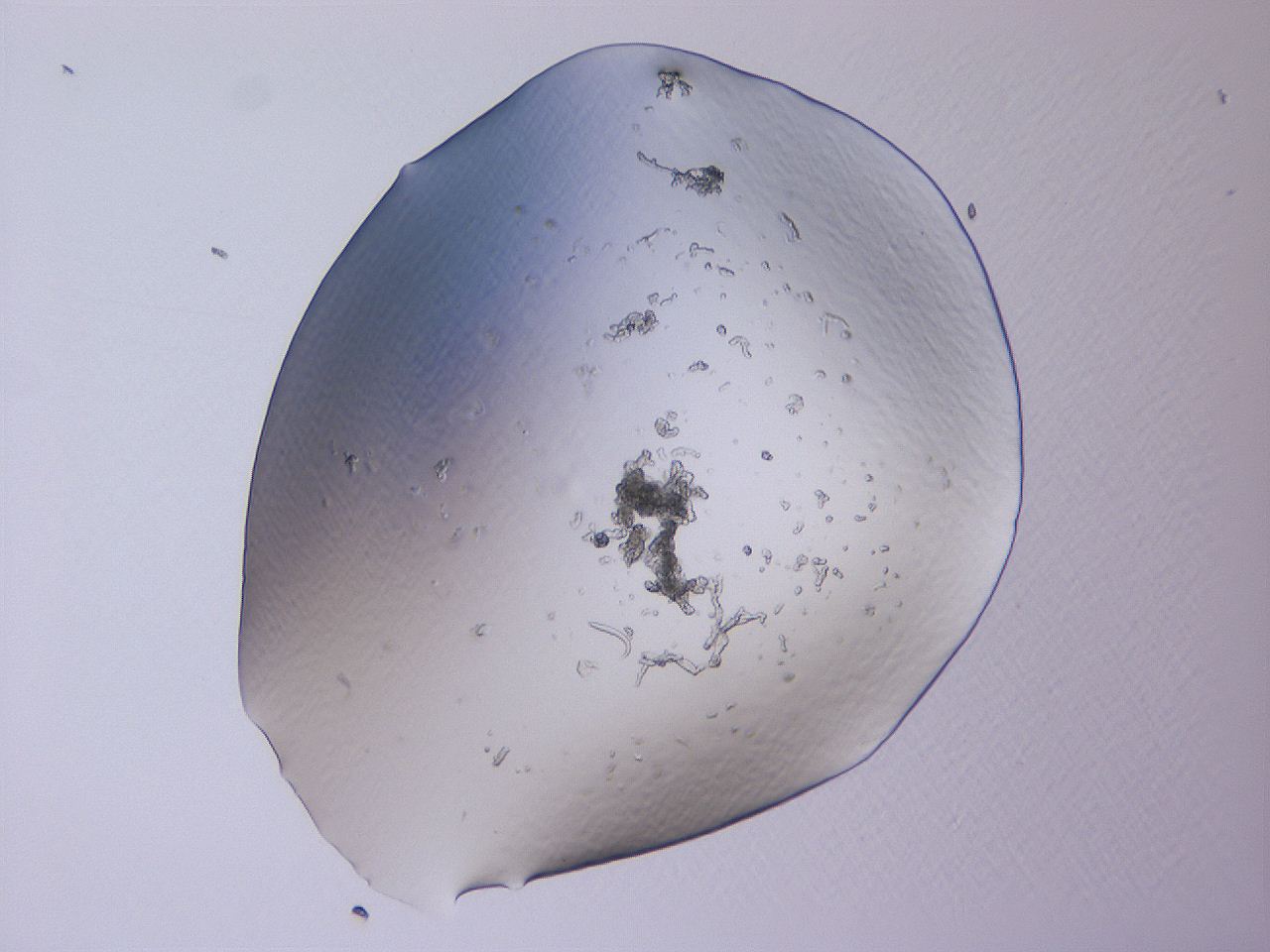 04b9_A9_ImagerDefaults_3.jpg