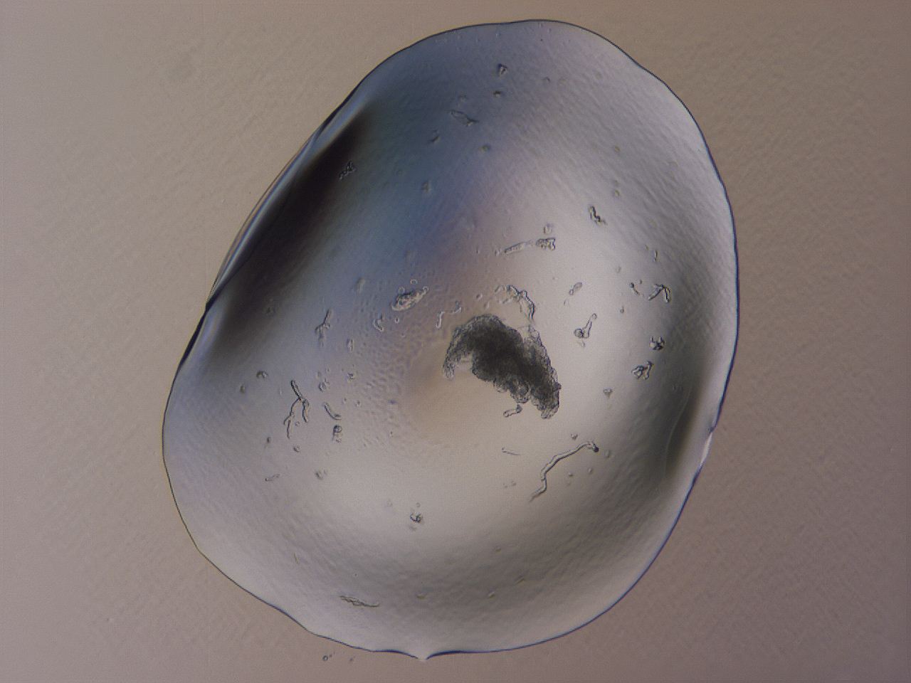 04b9_A10_ImagerDefaults_0.jpg