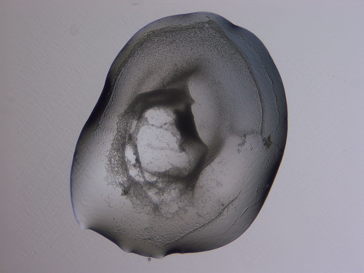 04b9_A11_ImagerDefaults_3.jpg