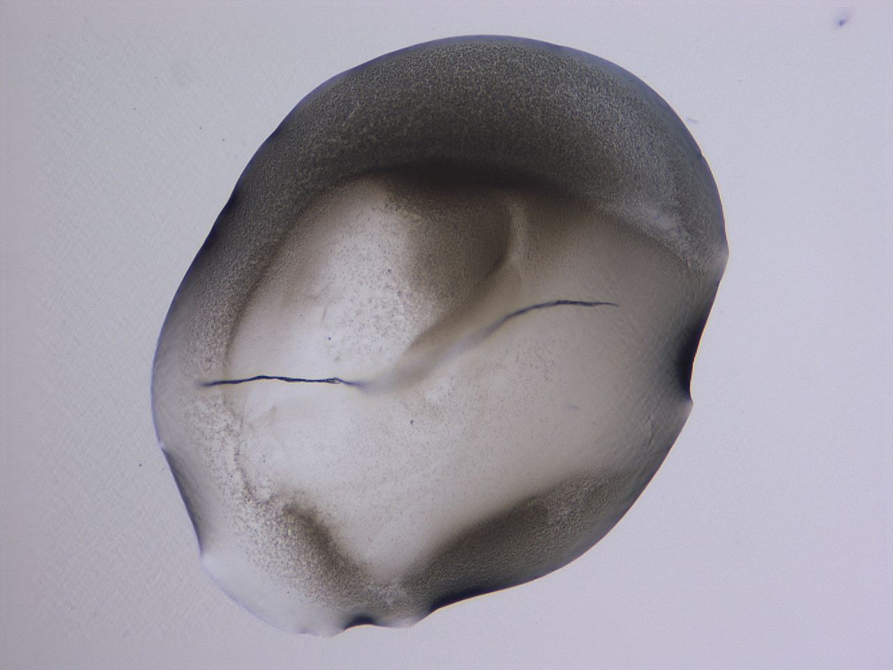 04b9_A12_ImagerDefaults_3.jpg