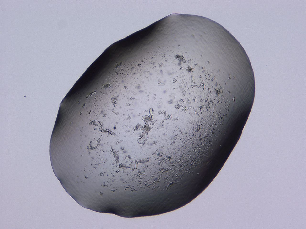 04b9_B8_ImagerDefaults_3.jpg