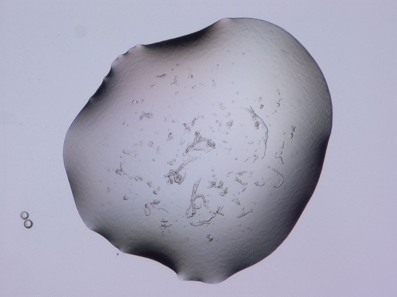 04b9_B9_ImagerDefaults_0.jpg