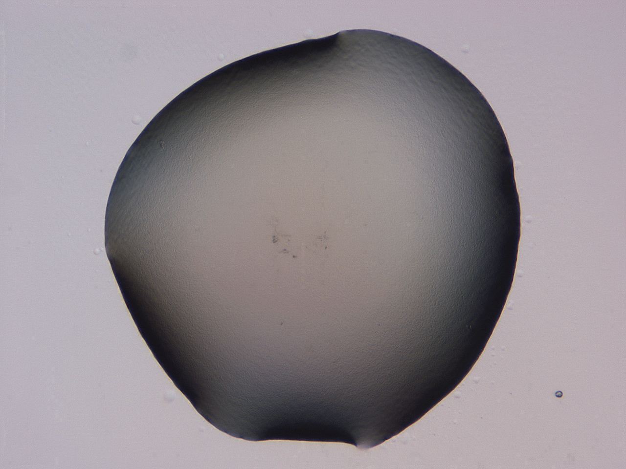 04b9_B10_ImagerDefaults_0.jpg