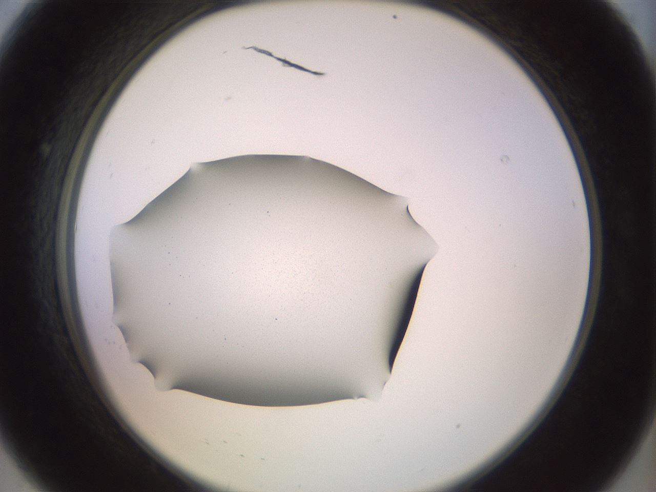 folderID670_plateID3670_batchID22064_wellNum8_profileID1_d2_r326400_ef.jpg