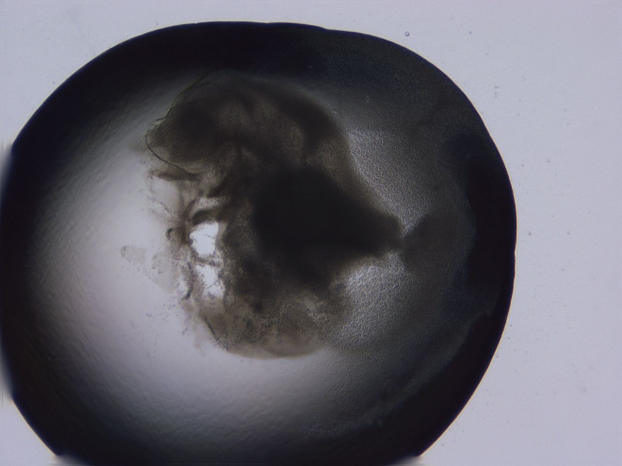 04b9_B11_ImagerDefaults_3.jpg