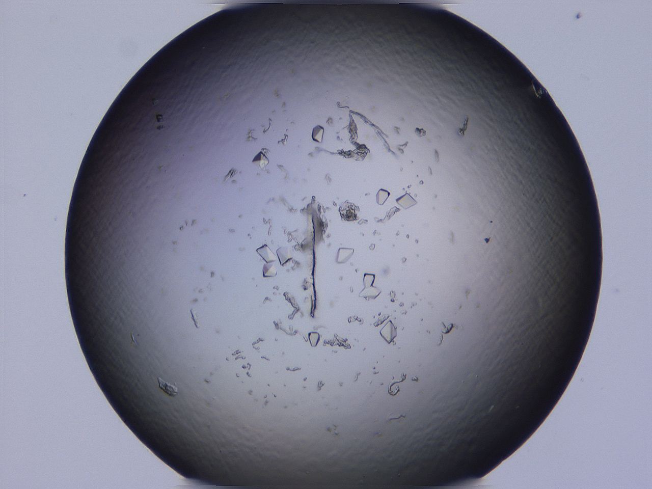 04b9_C1_ImagerDefaults_8.jpg