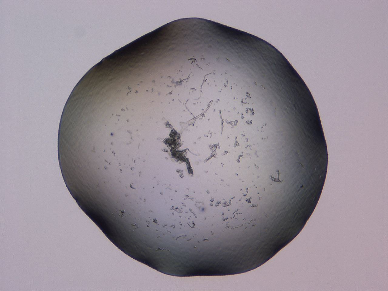 04b9_C2_ImagerDefaults_0.jpg