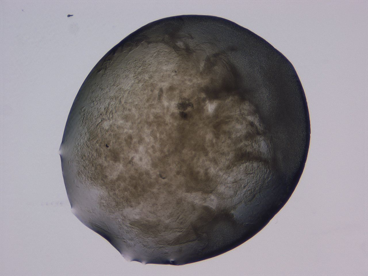 04b9_C3_ImagerDefaults_3.jpg