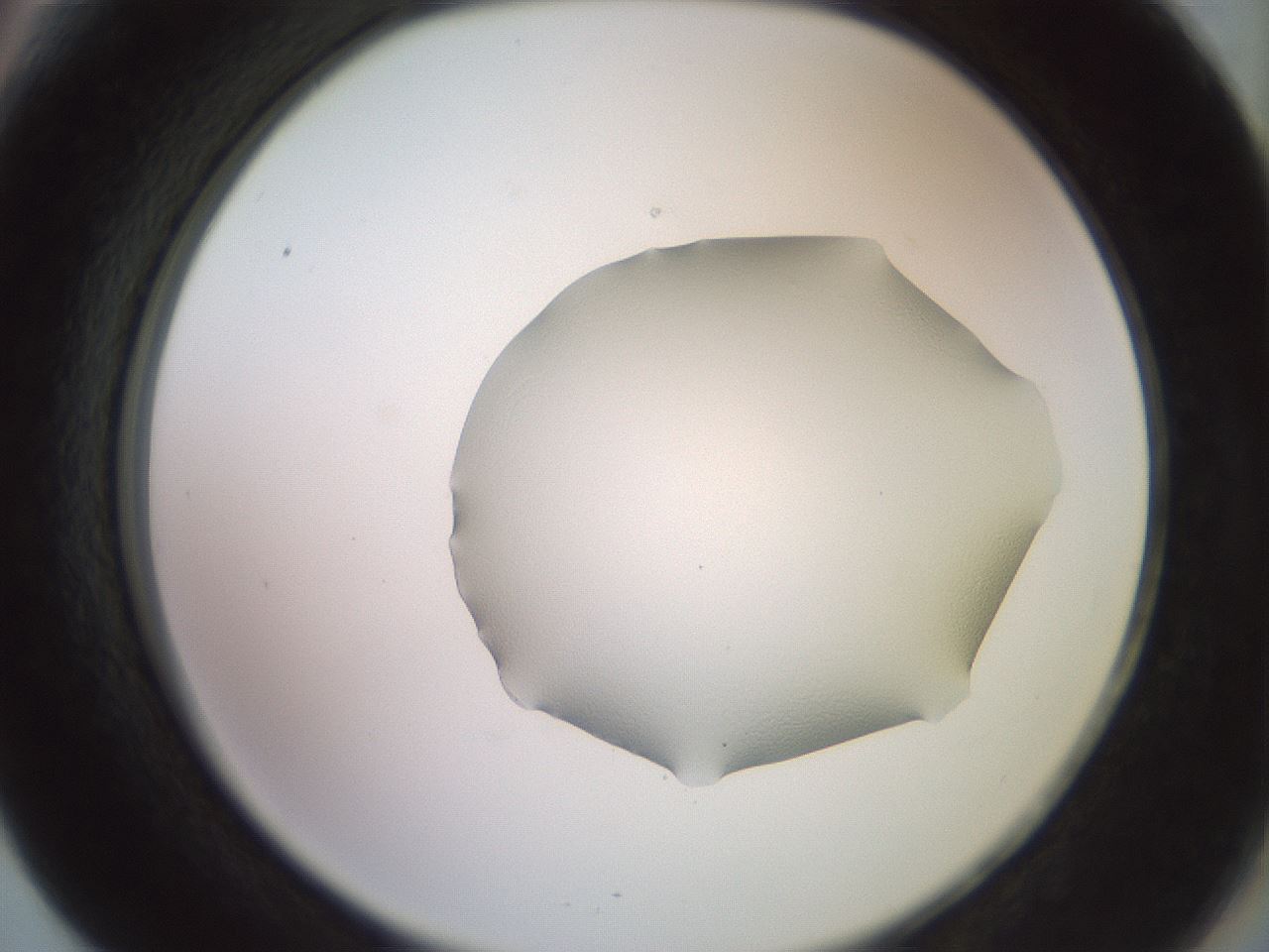 folderID671_plateID3671_batchID22061_wellNum66_profileID1_d2_r325940_ef.jpg