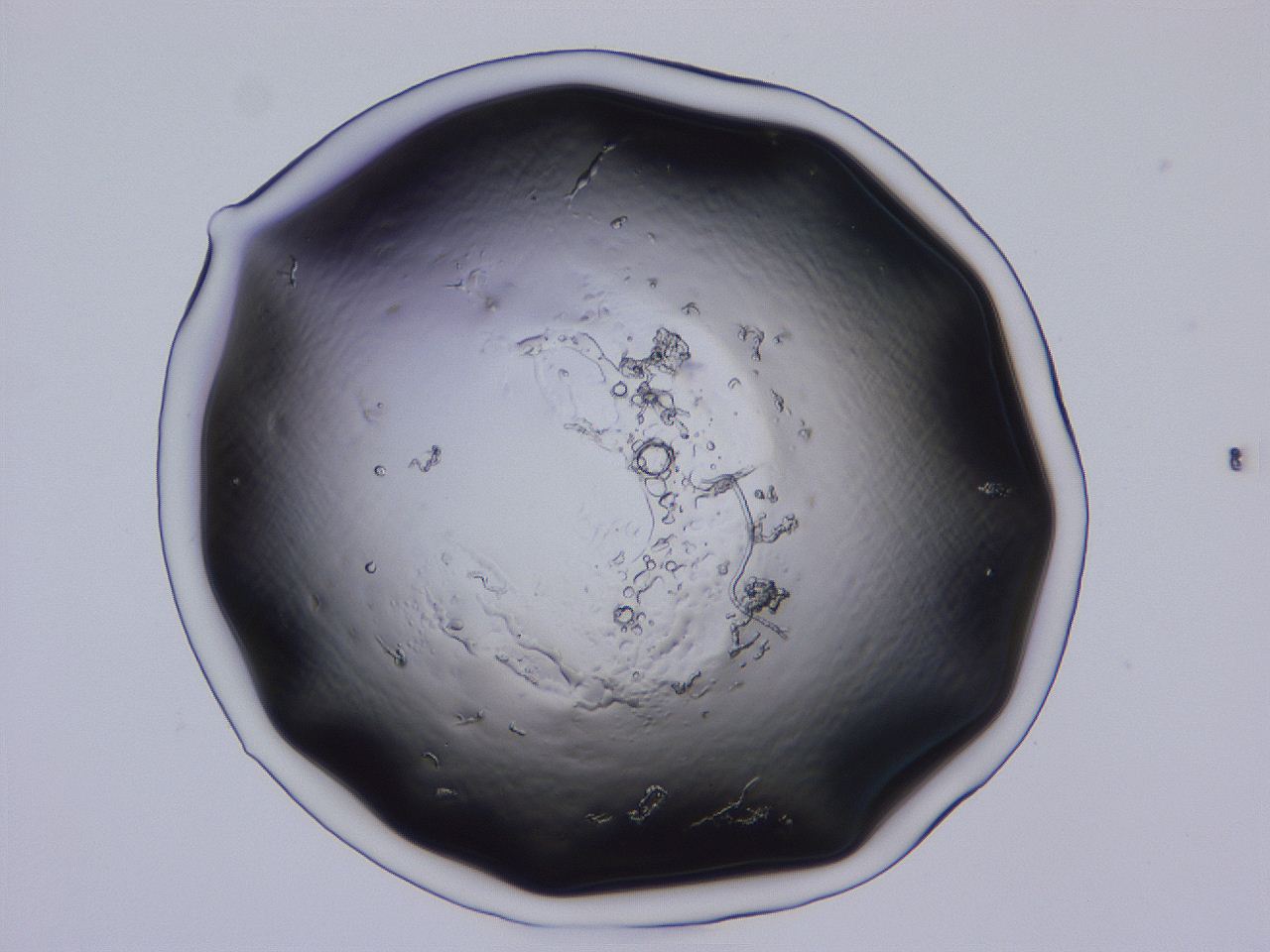 04b9_C9_ImagerDefaults_0.jpg