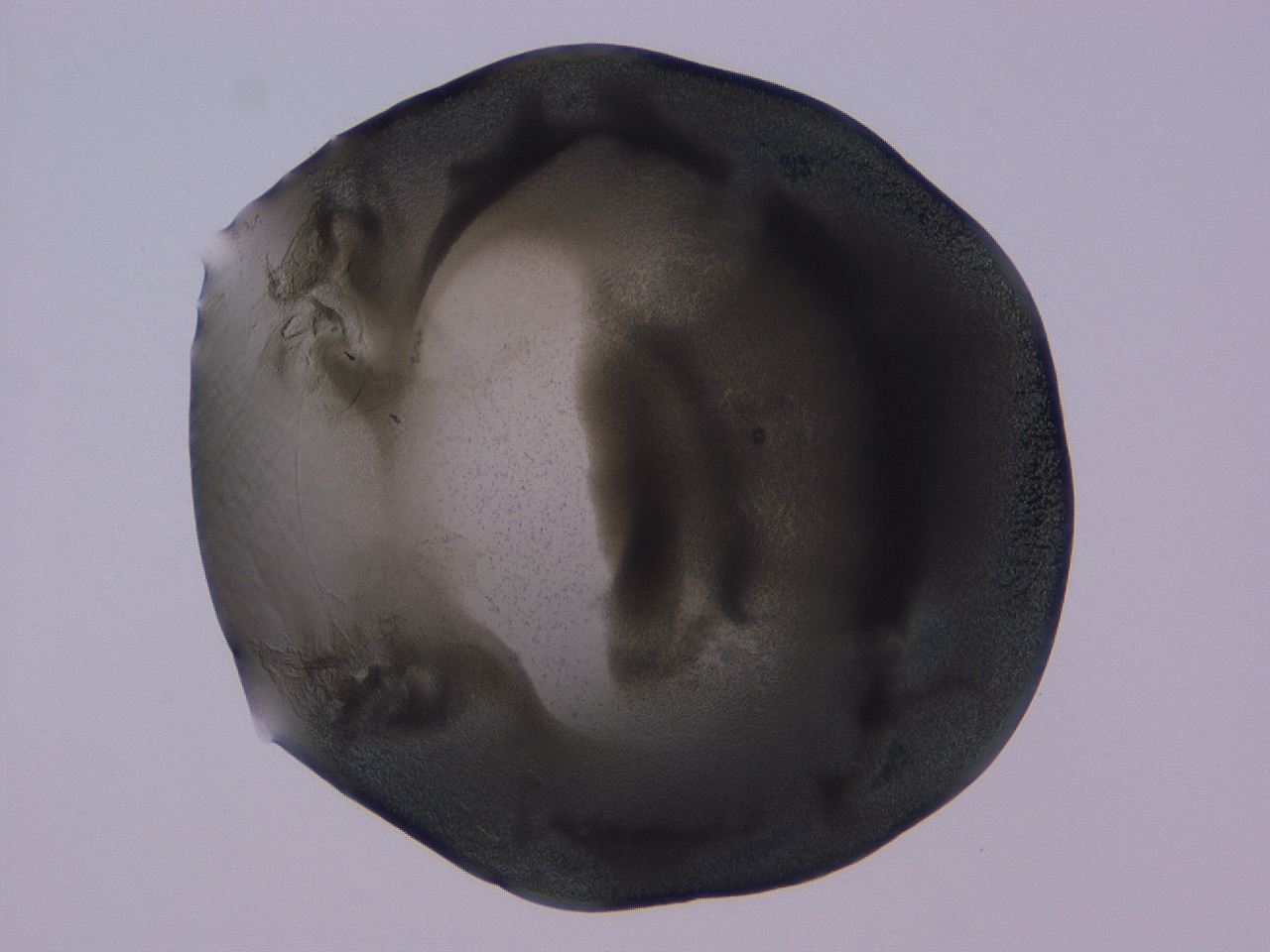 04b9_C10_ImagerDefaults_3.jpg