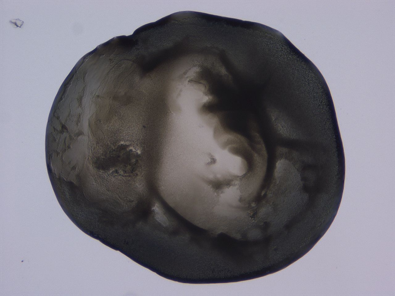 04b9_C11_ImagerDefaults_3.jpg
