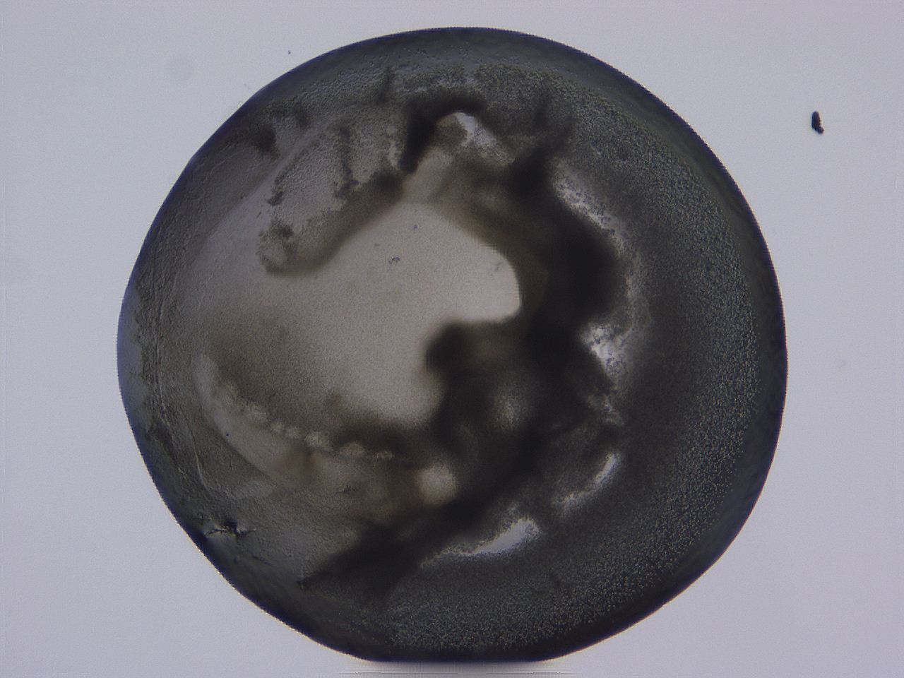 04b9_C12_ImagerDefaults_3.jpg