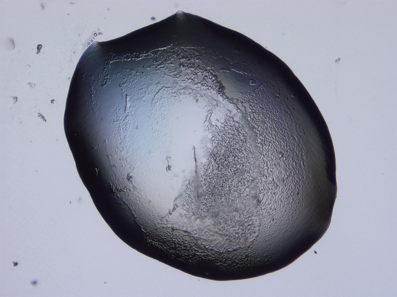 04b9_D1_ImagerDefaults_3.jpg