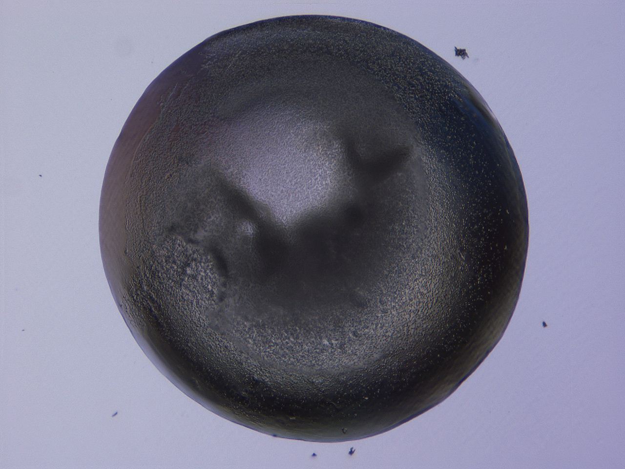 04b9_D2_ImagerDefaults_3.jpg