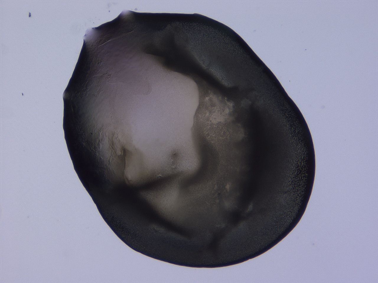 04b9_D10_ImagerDefaults_3.jpg